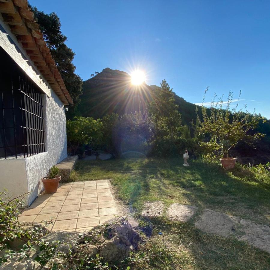 Casas Rurales Camaretas Yeste Dış mekan fotoğraf