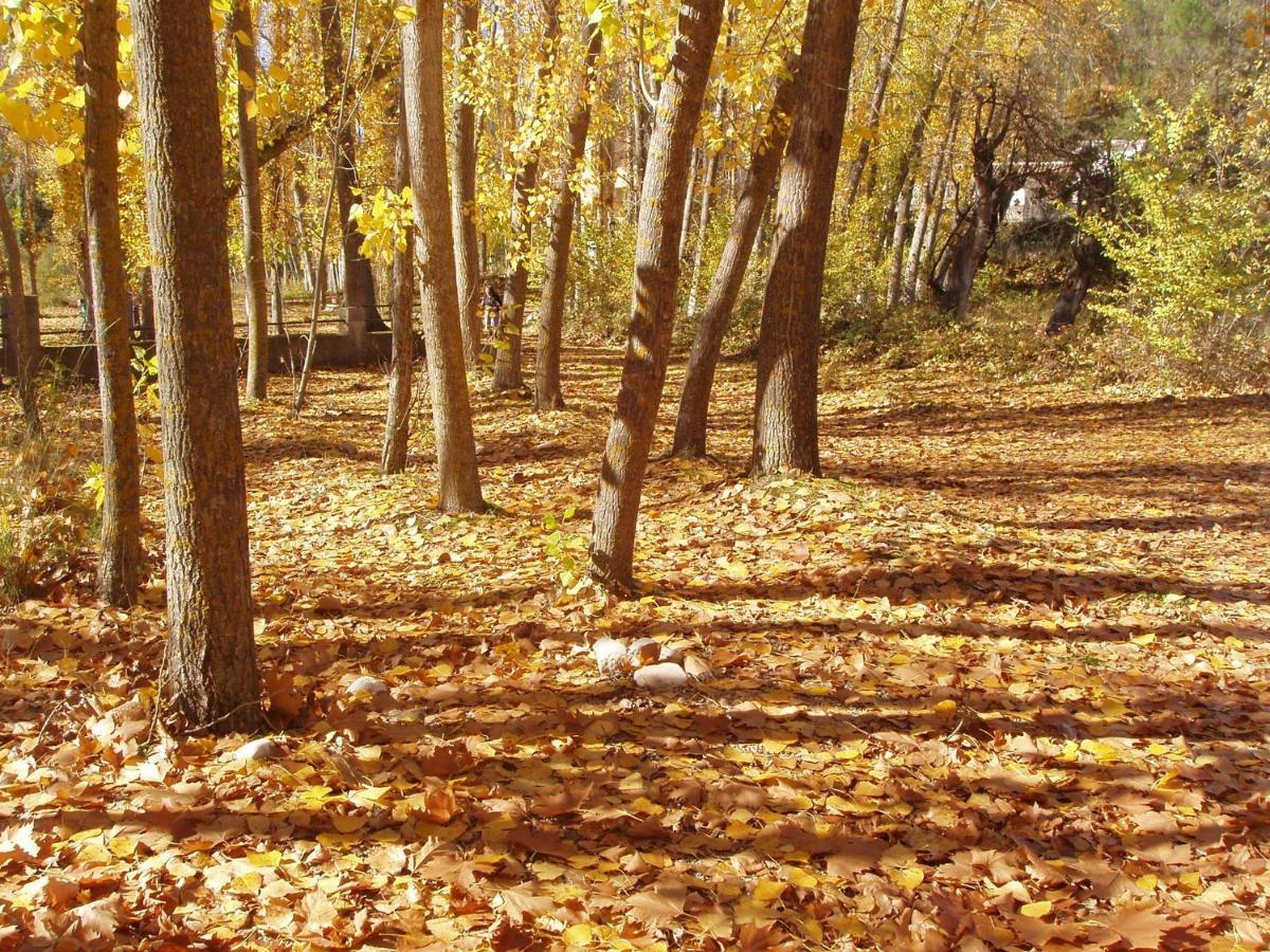 Casas Rurales Camaretas Yeste Dış mekan fotoğraf